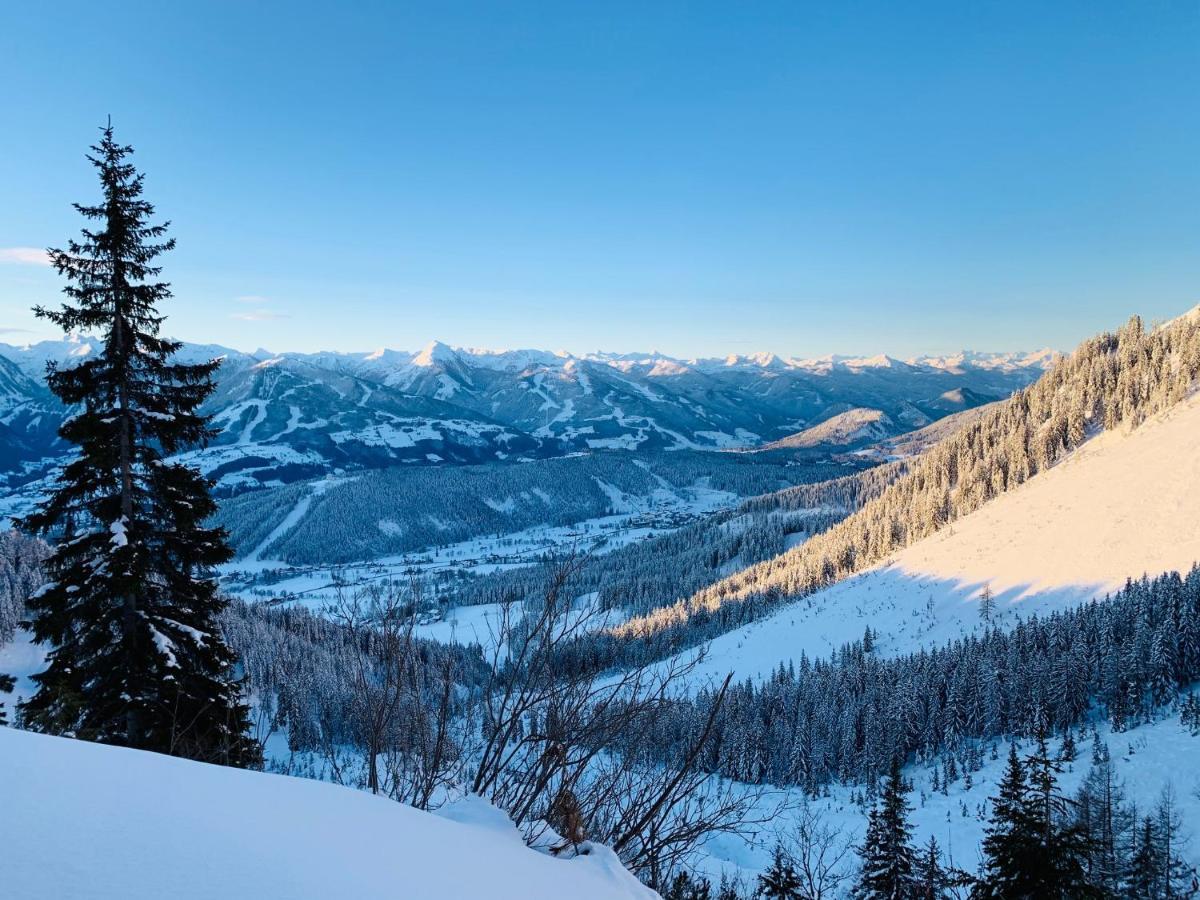 Bergkristallhaus ラムサウ・アム・ダッハシュタイン エクステリア 写真