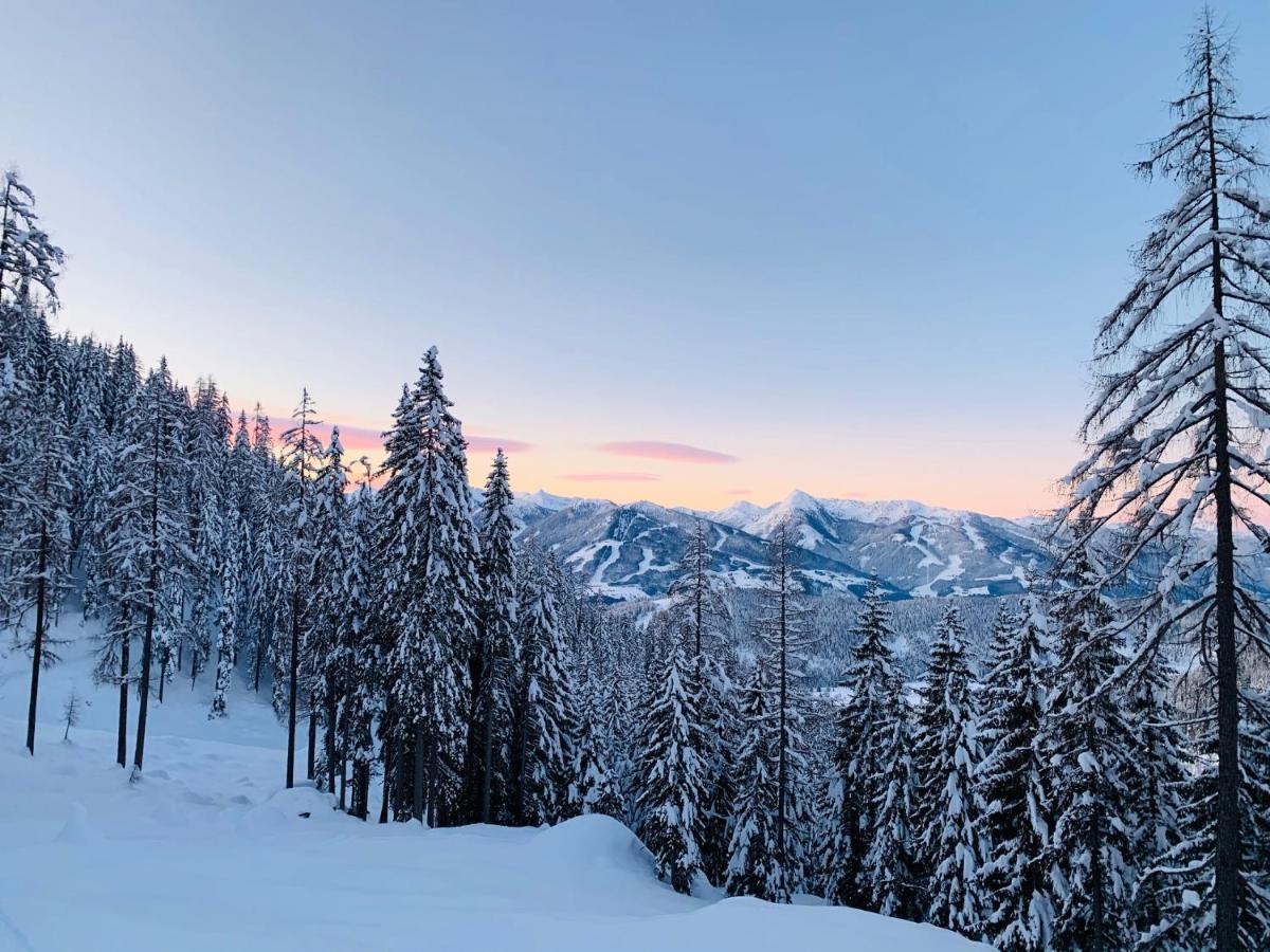 Bergkristallhaus ラムサウ・アム・ダッハシュタイン エクステリア 写真