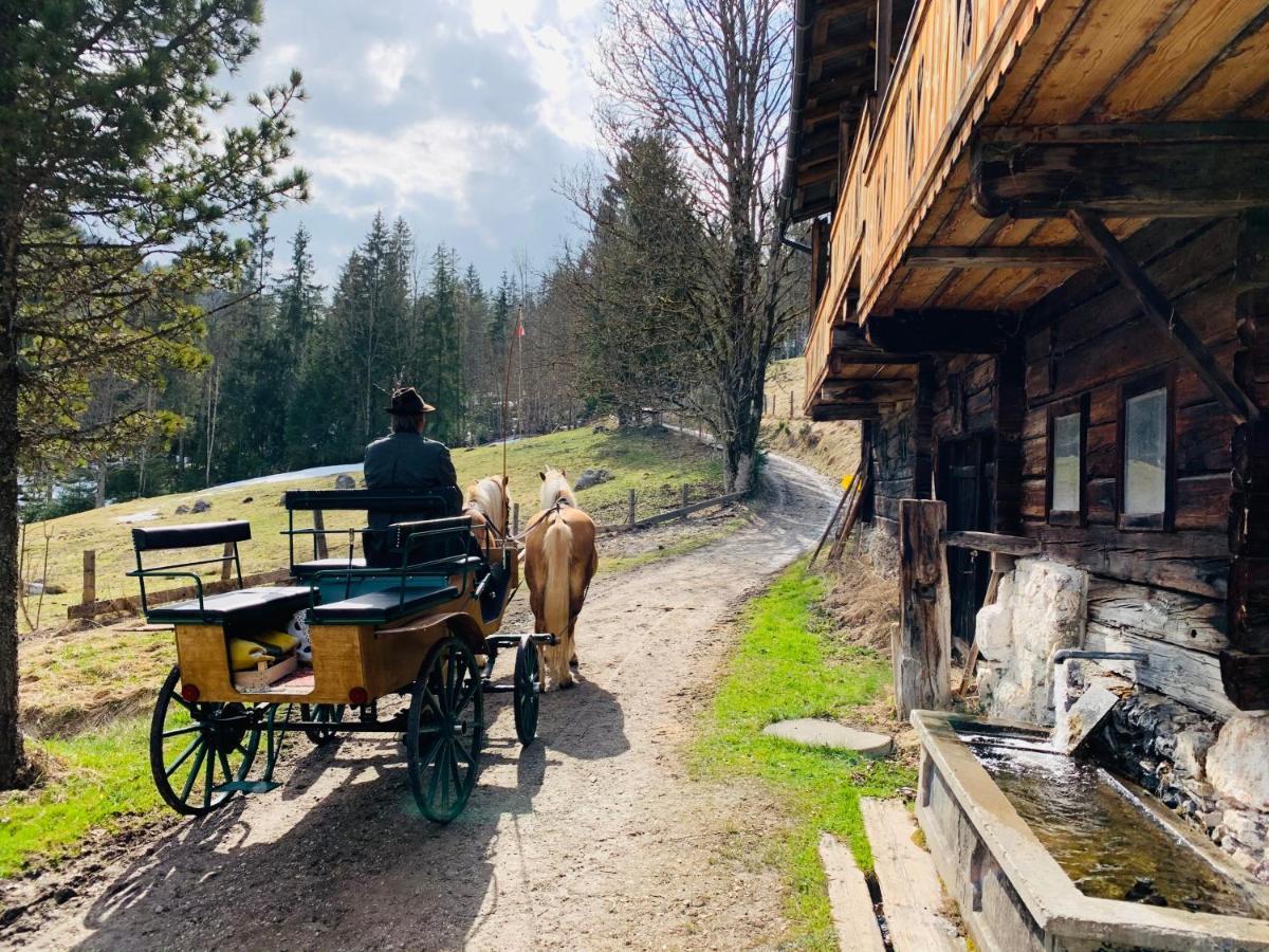 Bergkristallhaus ラムサウ・アム・ダッハシュタイン エクステリア 写真